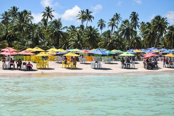 Beach Day In Maragogi With Catamaran Tour - Tour Highlights