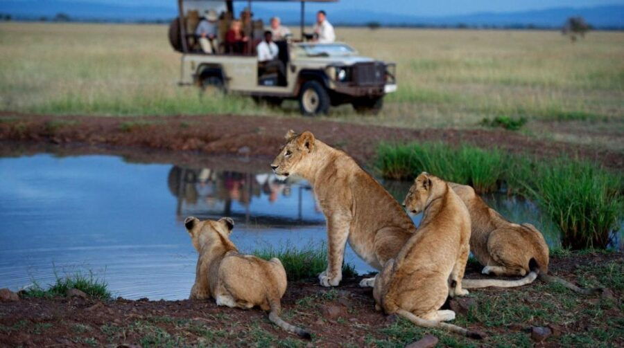 Best of South Africa Tour 10 Days Johannesburg to Cape Town