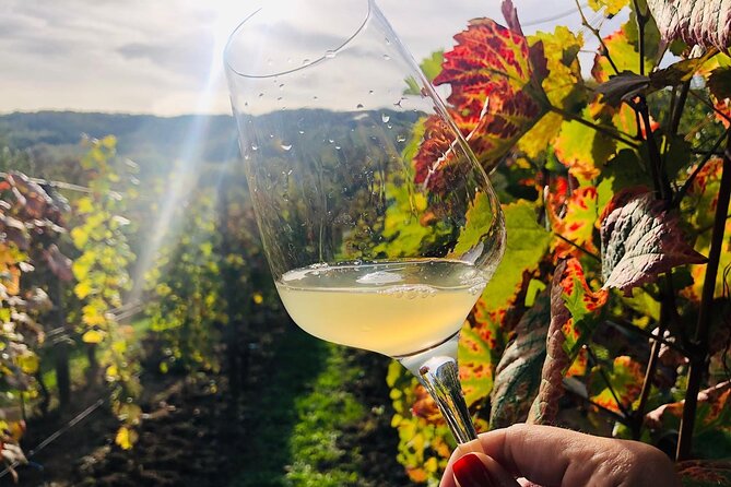 Bike & Wine Tour in Dealu Mare Wineland - Tour Highlights