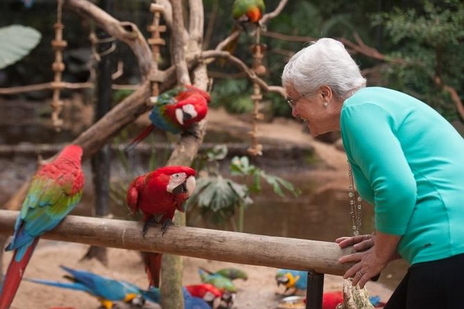 Bird Park & Iguassu Brazilian Side From Puerto Iguazú Hotels - Private Tour - Tour Highlights