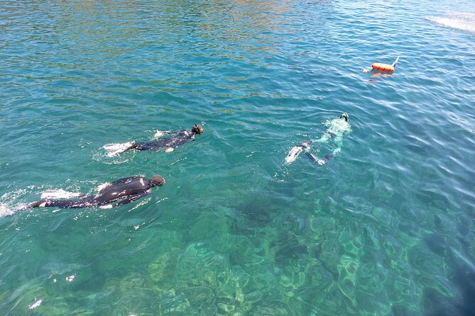 Boat Trip Islet of Goats+Snorkeling+Scuba Diving - Activity Overview