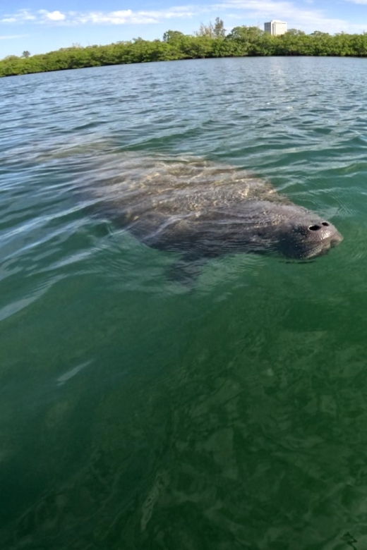 Bradenton: Guided Pedal Kayak Tour - Tour Details
