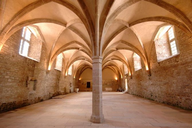 Burgundy Cluny Abbey Entrance Ticket - Ticket Overview