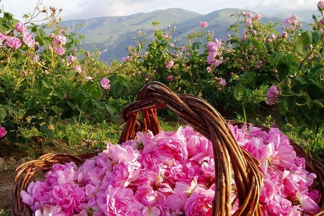 Buzludzha Monument and the Rose Valley Guided Day Tour - Cancellation Policy and Price