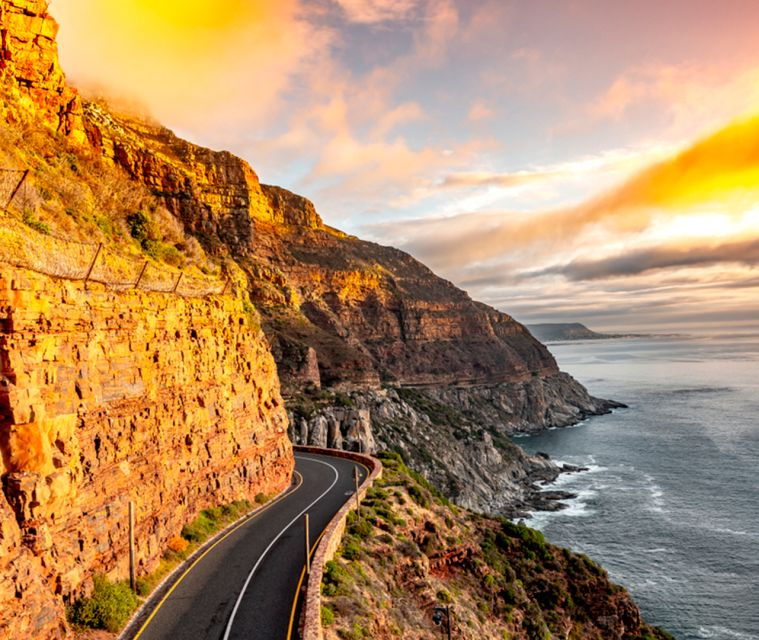 Cape Peninsula Day Tour: Seals, Penguins & Cape of Good Hope