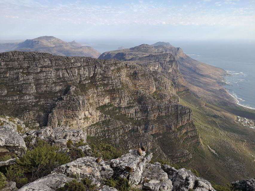 Cape Town: 3-Hour Table Mountain Hike via Platteklip Gorge - Overview
