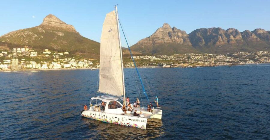 Cape Town: Sunset Cruise by Catamaran to Table Bay - Good To Know