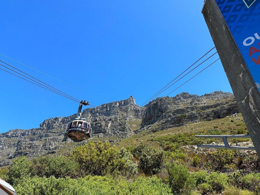 Cape Town: Table Mountain, Penguins & Cape Point Shared Tour
