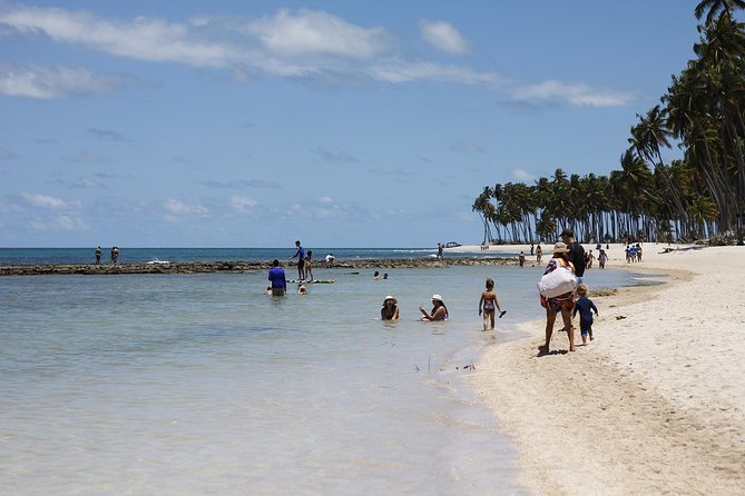 Carneiros Beach Day Tour - Transportation Details