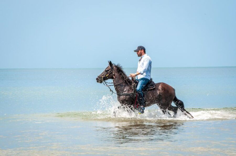 Cartagena: Beach Horse Ride and Colombian Horse Culture - Good To Know
