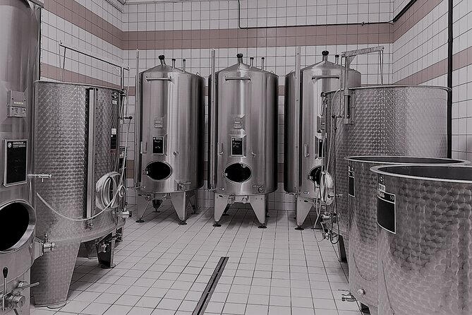 Champagne Munoz Bruneau : Half Day Visit and Tasting - Additional Information and Guidelines