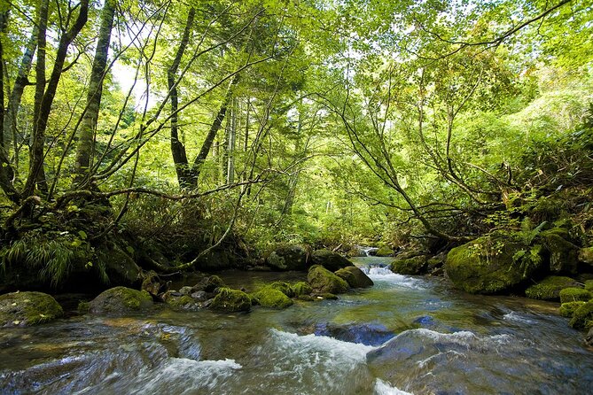 Chitose River Upstream Viewing Tour to Experience Salmon Culture - Inclusions