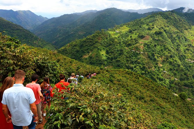 Coffee Night Plan 2D/1N -2H to Medellin-Real Coffee Experience! - Colombia Overview