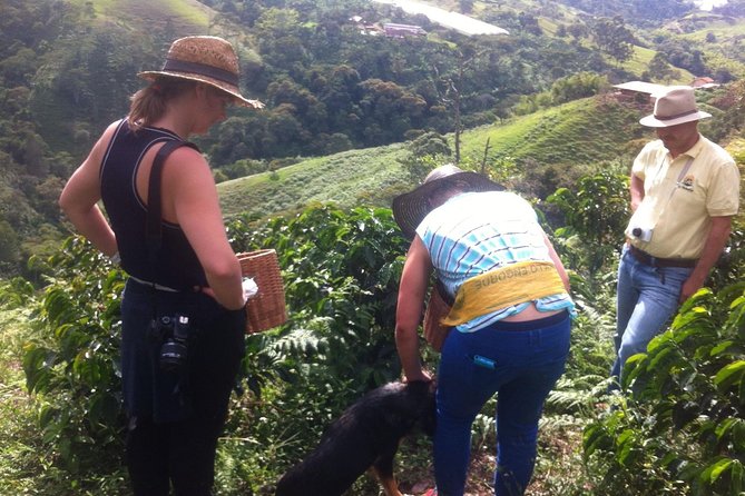 Coffee Zone 2 Days All Inclusive Jardin and Jerico From Medellin - Booking and Cancellation Policy