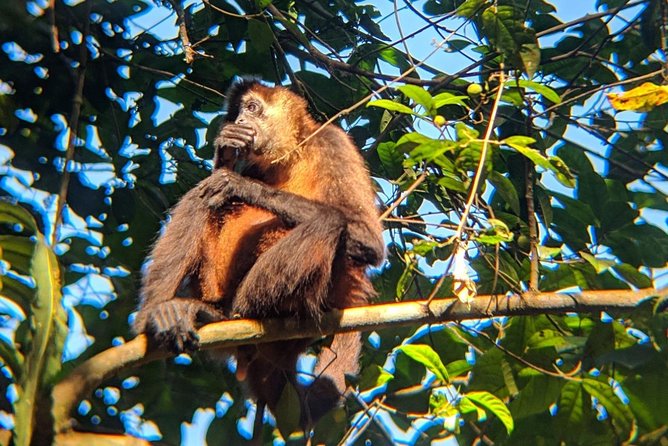 Corcovado National Park Overnight Tour-One Night at Sirena Station - Itinerary Details