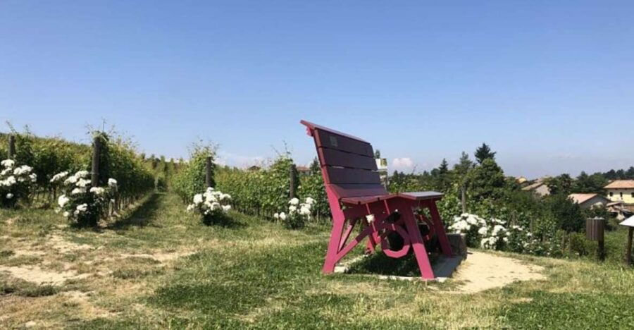 Costigliole Dasti: Guided Walking Tour With Wine Tasting - Good To Know