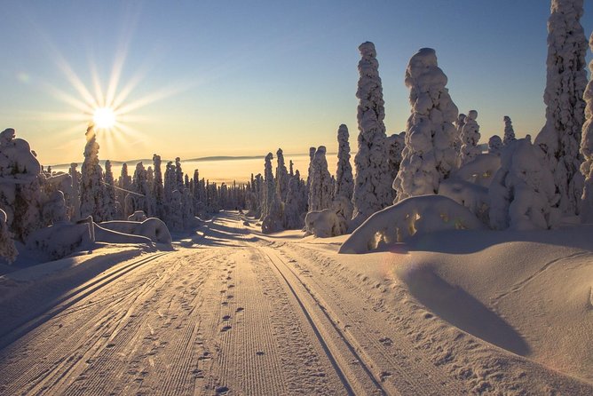Cross-Country Skiing Guided Tour From Prague - Tour Details