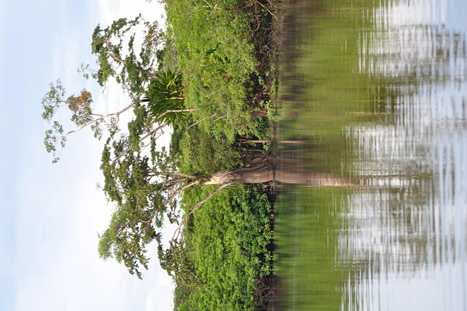 Cuyabeno 4 Day Jungle Tour - Cultural Immersion