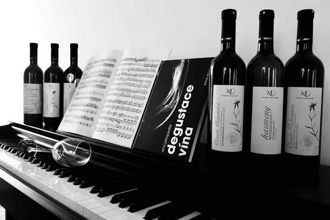 Czech Wine Tasting - Tasting Experience