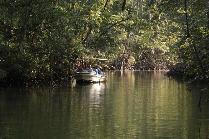 Damas Mangroove Boat Tour From Manuel Antonio