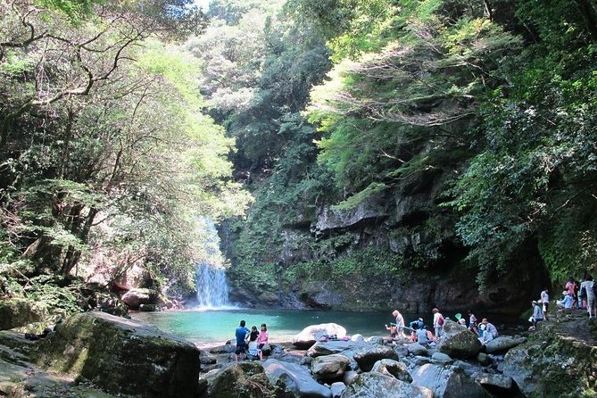 Day Trip Charter Bus Tour to Waterfall & Nagasaki From Fukuoka - Meeting and Pickup Details