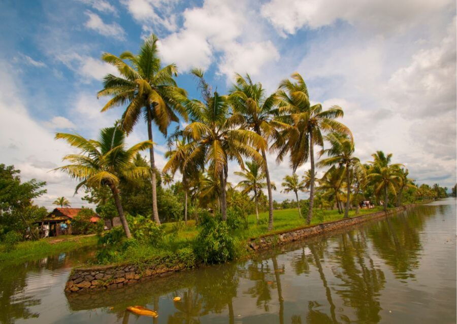 Day Trip to Alleppey With Backwater Experiences - Tour Details