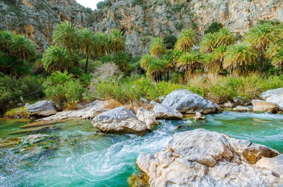 Day Trip to Preveli & Damnoni Beach & Rethymno City Tour - Languages and Pickup Information
