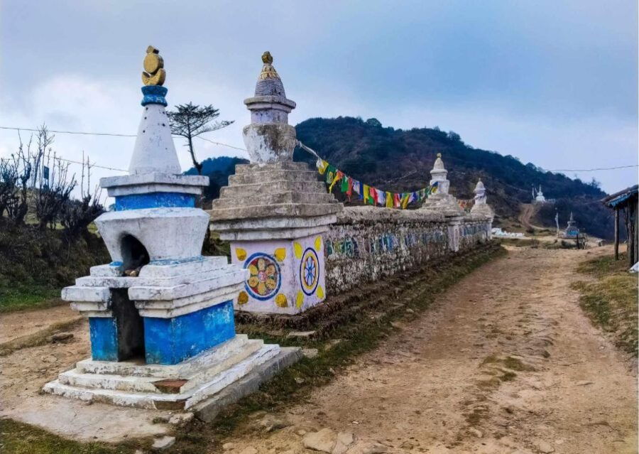 Day Trip to Singalila (Guided Private Sightseeing Tour) - Good To Know