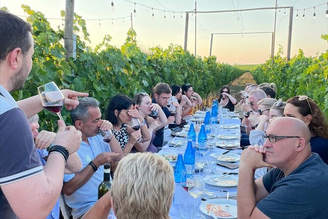 Dinner in the Vineyards - Chianti Winery Evening Experience