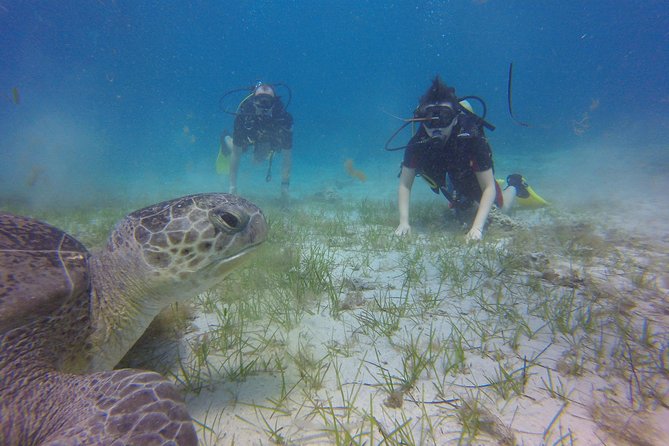 Discover Scuba Diving - Why Choose Discover Scuba Diving