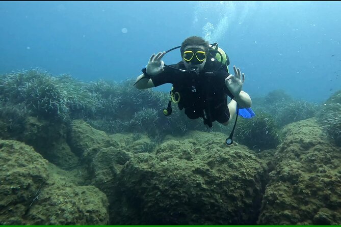 Discover SCUBA Diving With Pissouri Bay Divers - Dive Into Pissouri Bays Beauty