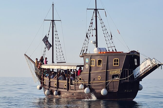Dolphin Watching Boat Trip Around Vrsar - Activity Highlights