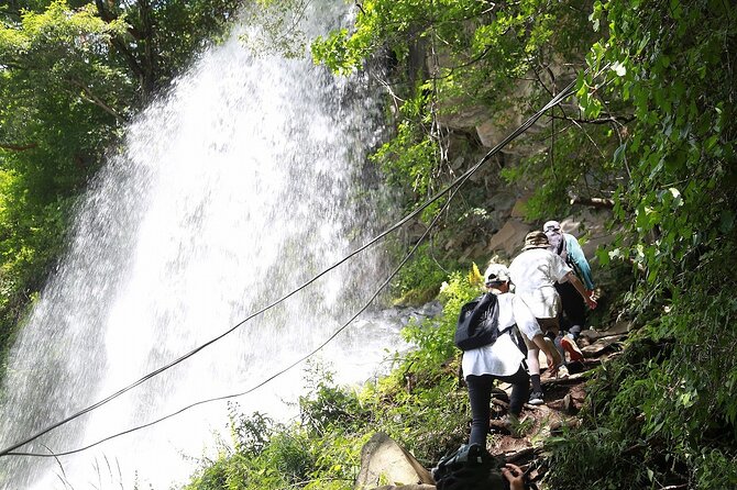 E-Bike Tour Through Forests and Springs on a 1000m Plateau - Tour Highlights