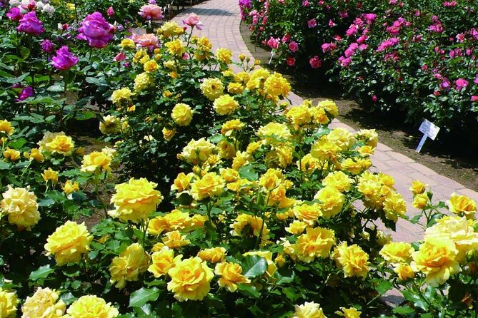 Entry Ticket to Ashikaga Flower Park in Japan - Ticket Details
