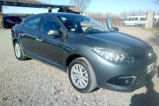 Executive Transfers From Mendoza Airport to the Hotel in Downtown Mendoza. - What To Expect