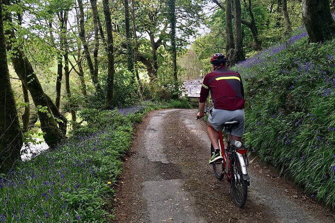 Explore North Cornwall on Electric Bikes - Electric Bike Features