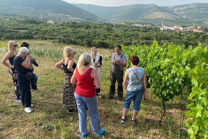 Family-run Vineyard Tour & Award Winning Wine Tasting/Delicacies - Menu Highlights