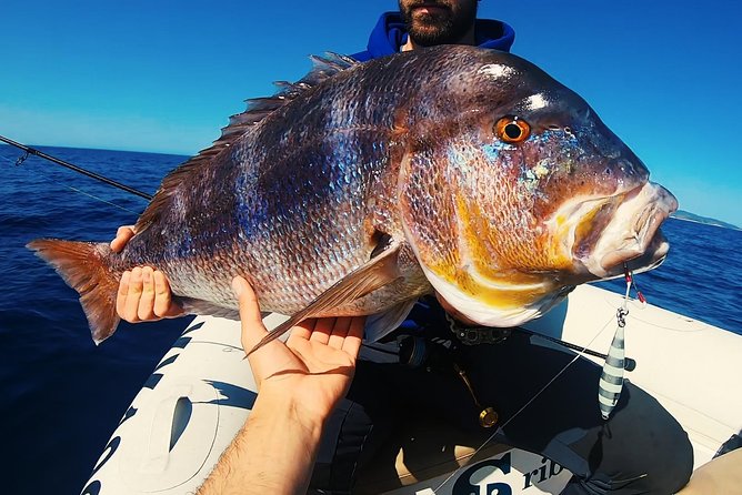 FISHING TOUR to Brac and Solta Island - Half Day FISHING Experience - Inclusions