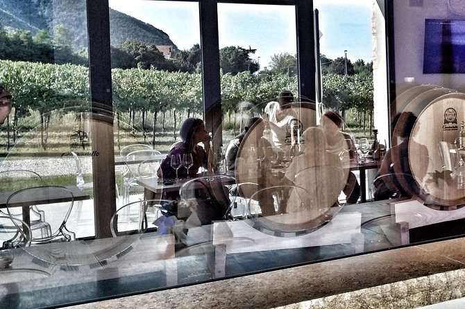 From Padua: Olive Oil & Wine in the Euganean Hills - Meeting and Pickup Information