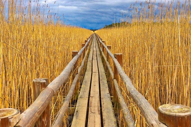 From Riga: Best of Kemeri National Park In One Day - Itinerary Overview