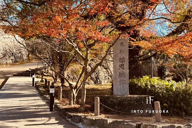 Fukuoka Castle and Gokoku Shrine Tour - Pickup and Meeting Point Details