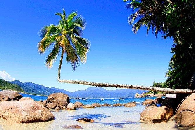 Full Day Around the Island of Ilha Grande and Its Beaches - Tour Details