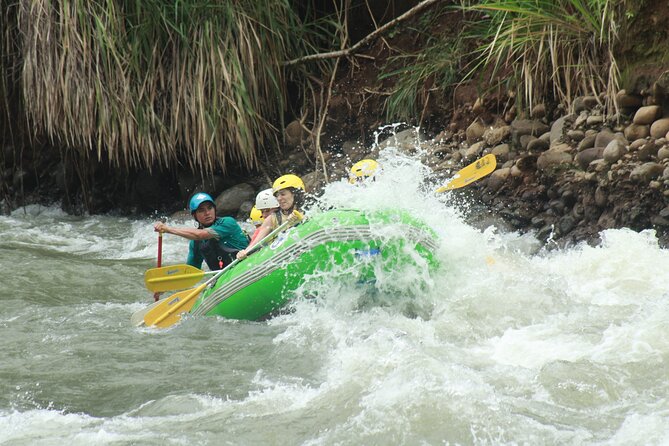 Full-Day Guided Adventure Tour in the Forest of San Ramón - Itinerary Highlights