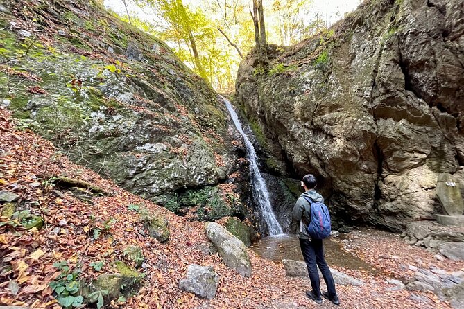 Full Day Guided Hiking Tour in Mt. Mitake - Meeting Information