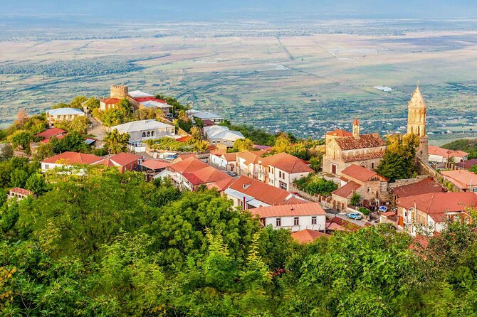 Full-Day Guided Tour to Kakheti - Group - Tour Details