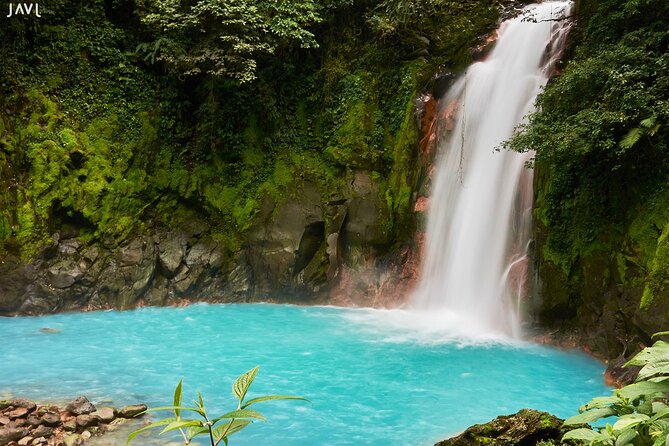 Full-Day Sloth and Rio Celeste Waterfall/Private SUV+Nature Guide - Tour Overview