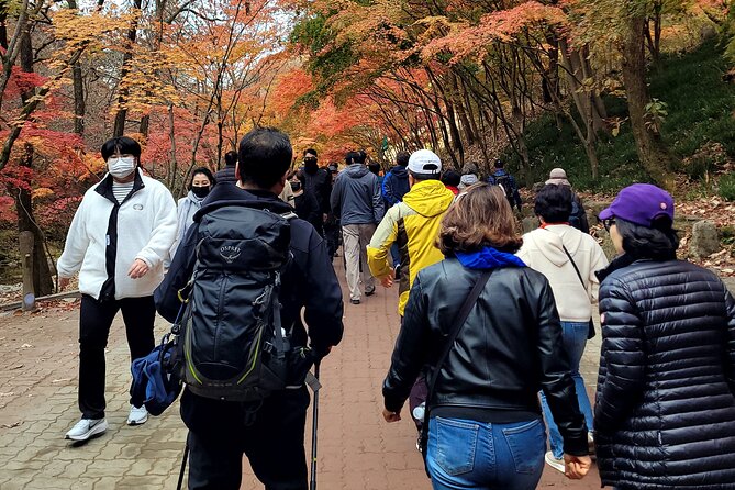 Full Day Tour in Jeju Island - Beach Experience