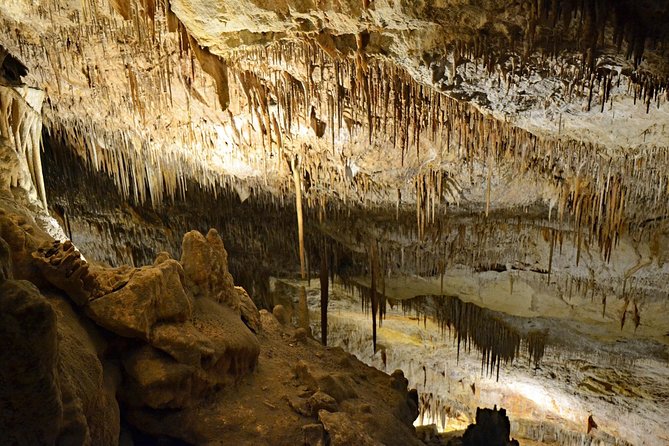 Full Day Tour to the Caves of Drach and Caves of Hams in Mallorca - Meeting and Pickup Details