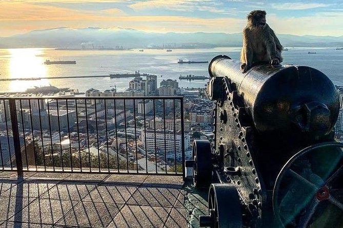 Gibraltar Sightseeing : Extended Rock Tour / Shore Excursion (Private) - Detailed Itinerary