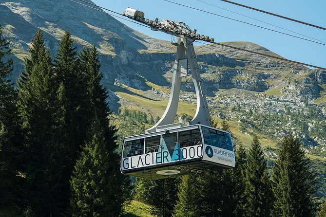 Glacier 3000 Ticket Including Cable Car and Peak Walk by Tissot - Inclusions